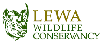 Team reviewing charts and graphs